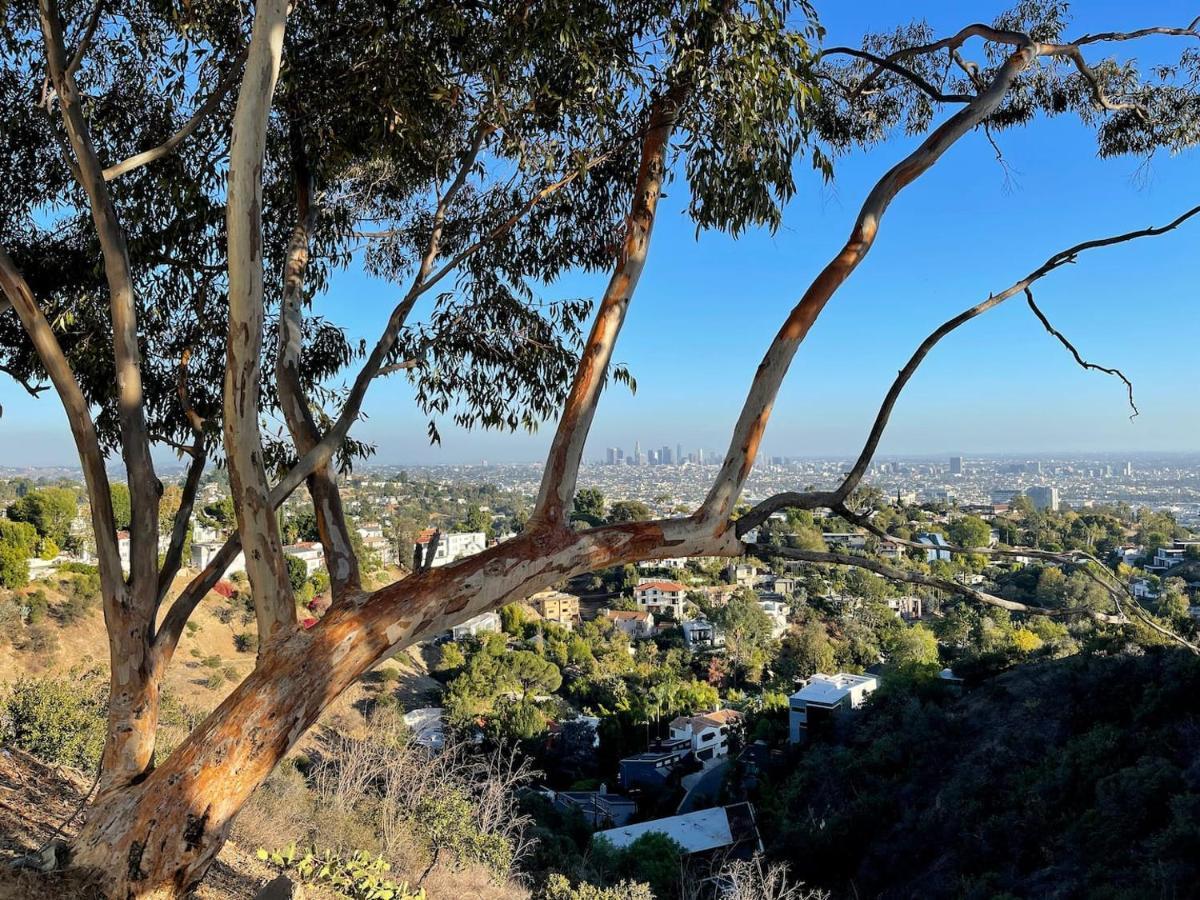 Готель Hollywood Hills 1940S Mansion Лос-Анджелес Екстер'єр фото
